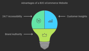 this infographic shows the advantages to B2C ecommerce.