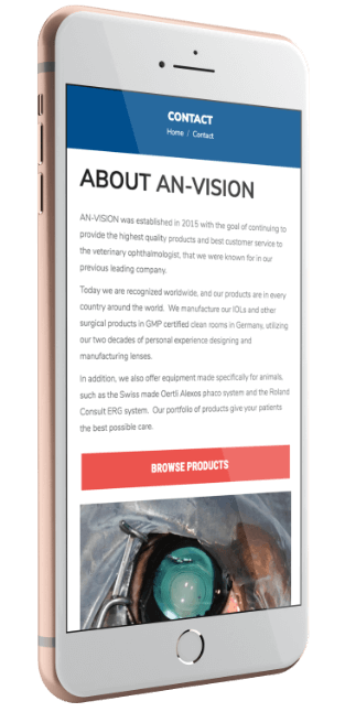 An-Vision's Website Viewed on Mobile